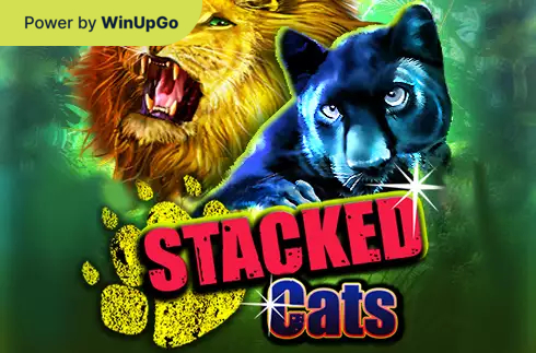 Ойын автоматы Stacked Cats