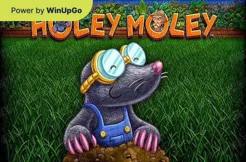 دستگاه اسلات Holey Moley