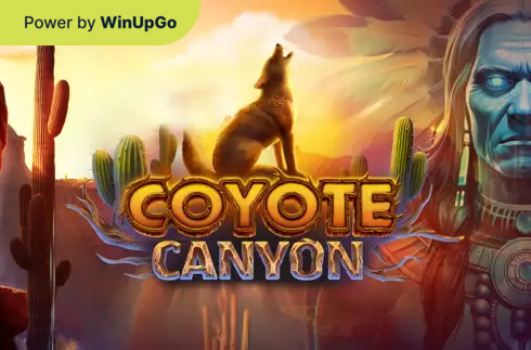 Ігровий автомат Coyote canyon
