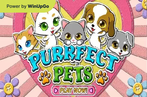 Мошини бозӣ Purrfect Pets