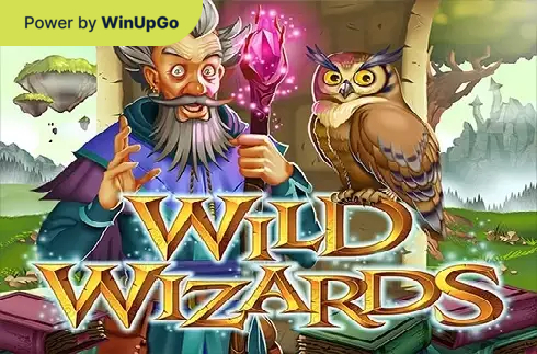 Slot makinesi Wild Wizards RTG