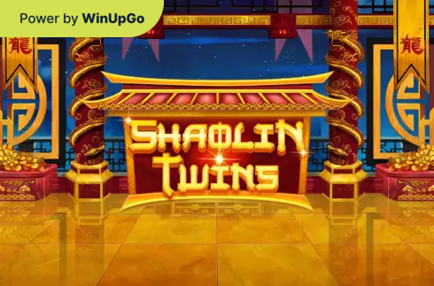 Мошини бозӣ Shaolin Twins