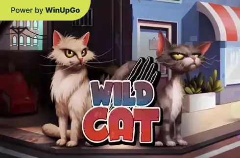 Мошини бозӣ Wild Cat