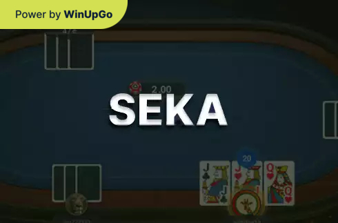 Ойын автоматы Seka