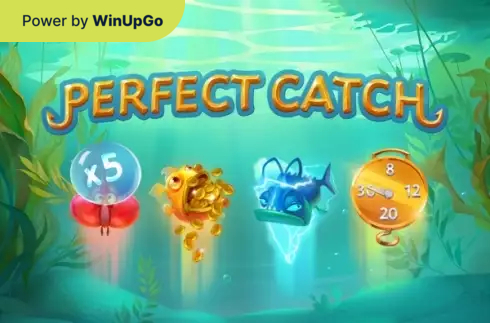 Мошини бозӣ Perfect Catch