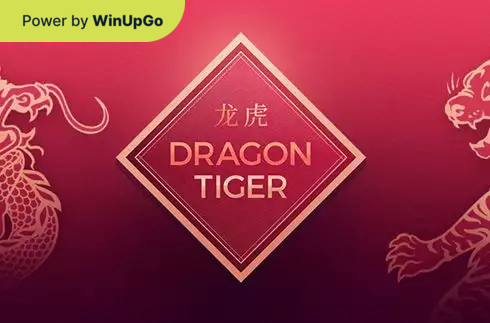 Мошини бозӣ Dragon Tiger Switch Studios