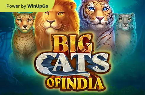 Automat do gier Big cats of india