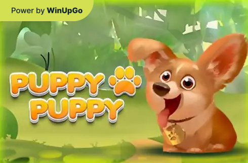 Мошини бозӣ Puppy Puppy