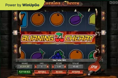 Мошини бозӣ Burning Cherry