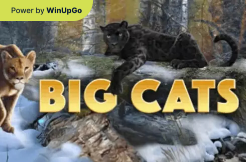 O‘yin avtomati Big Cats