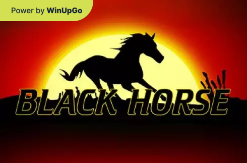 Мошини бозӣ Black Horse