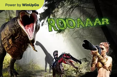 Мошини бозӣ Rooaar