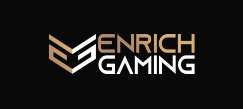 Провайдер Enrich Gaming