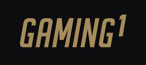 Провайдер GAMING1