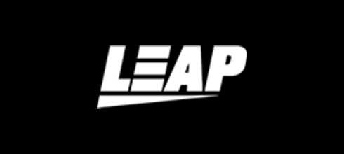 Провайдер Leap Gaming