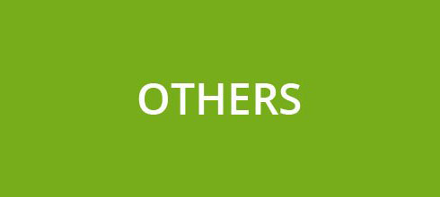 Провайдер Others