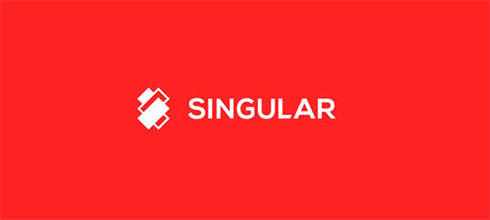Провайдер Singular