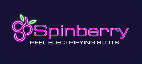 Провайдер Spinberry